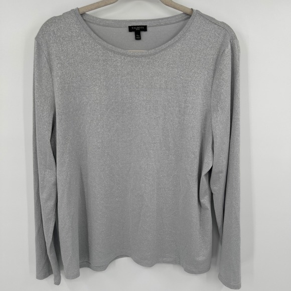 Talbots Tops - Talbots Petites Womens Silver Sparkle Long Sleeve Crewneck Top Shirt XL P
